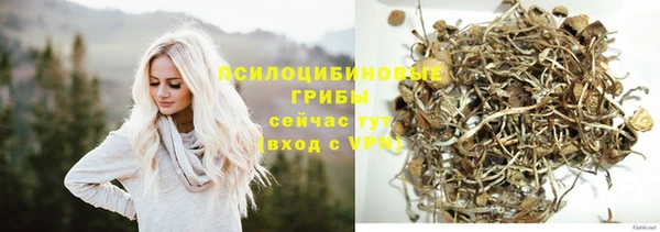 эйфоретик Алексин