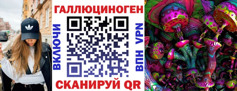 Псилоцибиновые грибы Psilocybine cubensis Миасс